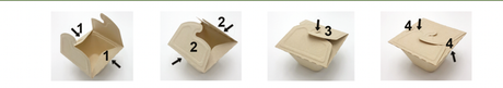 Verpackung2GoMeal Box To Go 500 ml